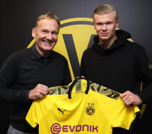 汇聚国内顶尖骑手！这场马术巅峰赛将在桐庐举行（桐庐上演马术巅峰对决，国内顶尖骑手齐聚）